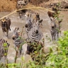 WWMT Footer Images3