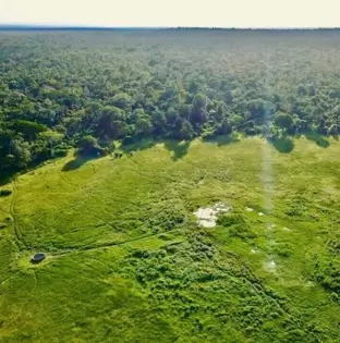 Arabuko Sokoke Forest Reserve