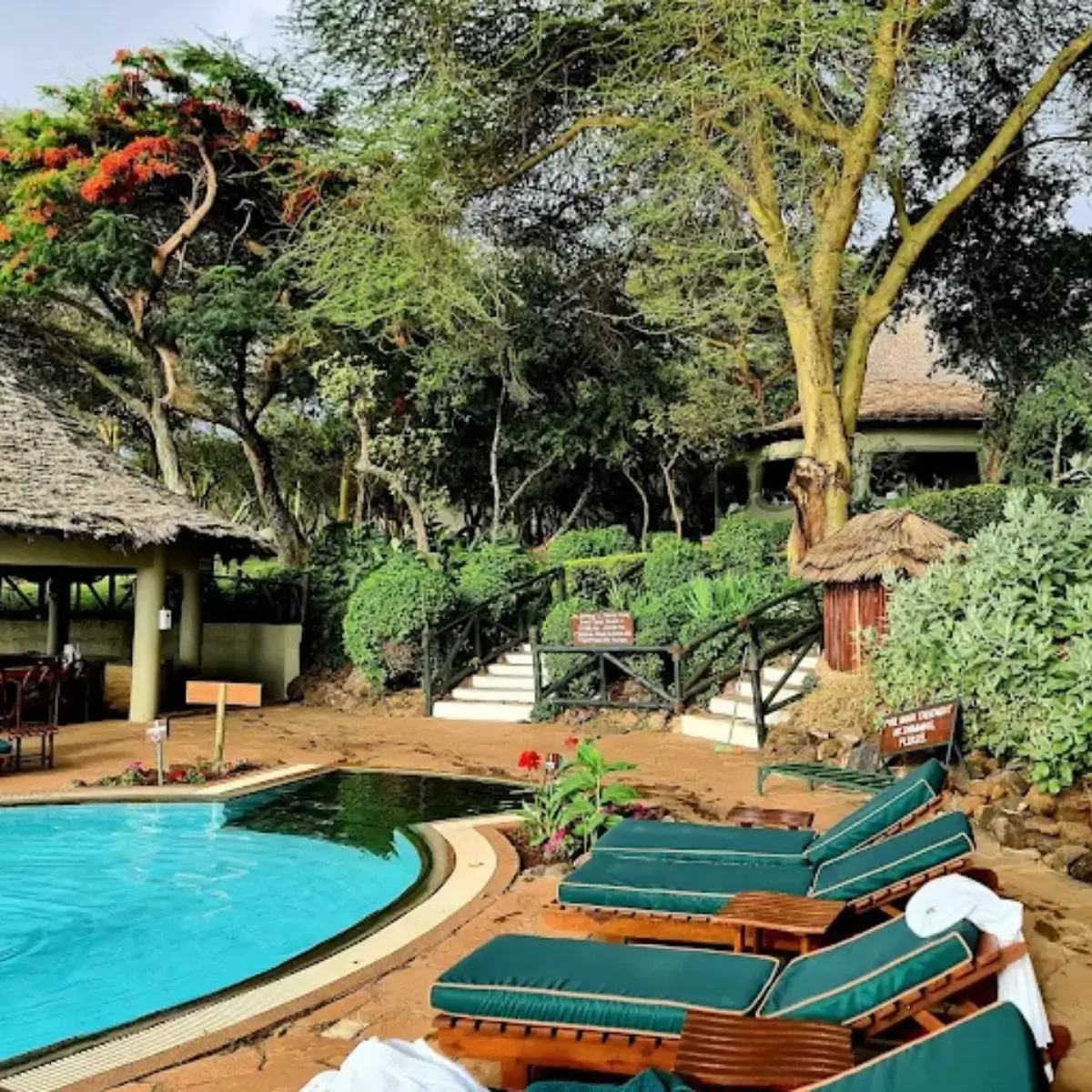 Lake Manyara Serena Safari Lodge 2