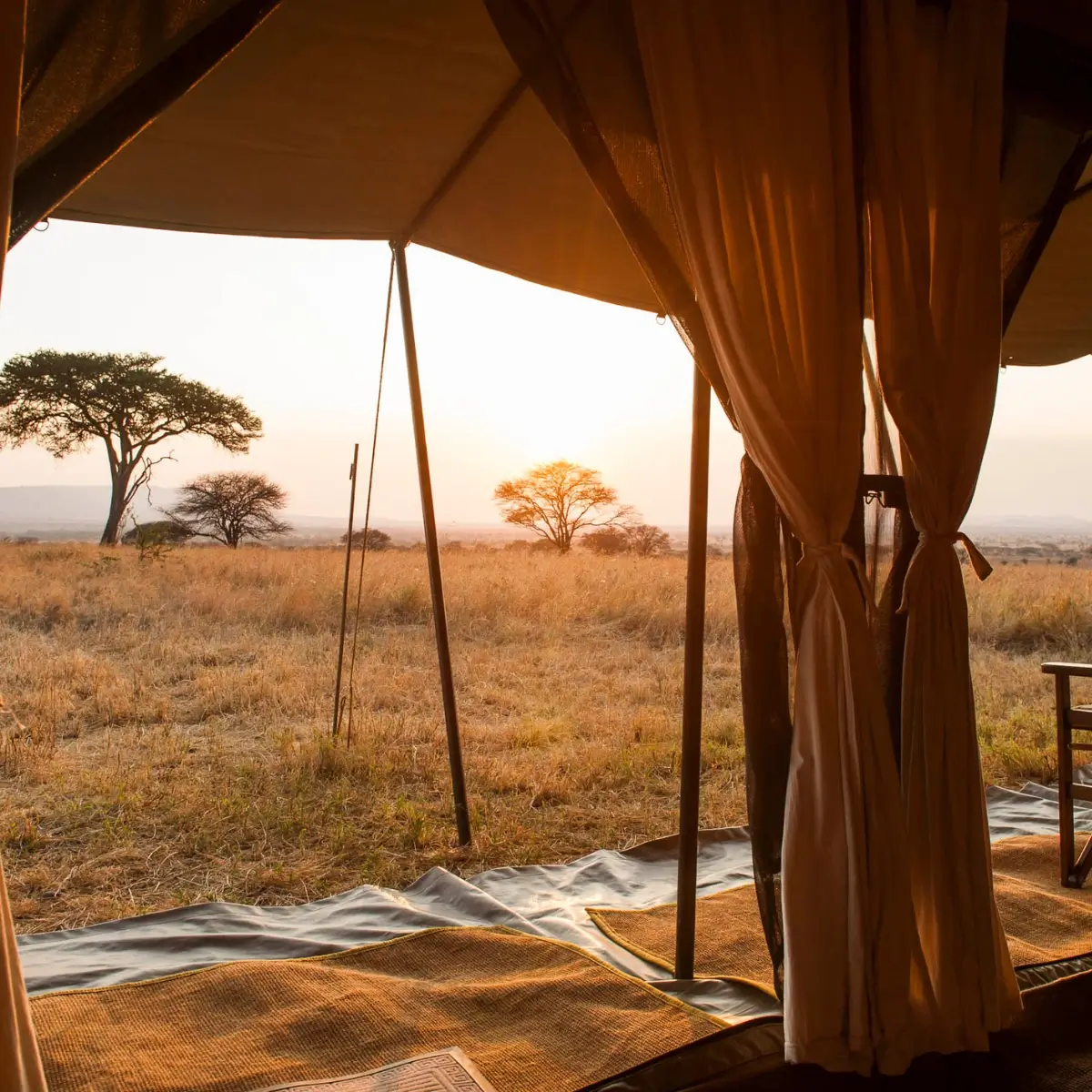 Mara Under Canvas 2