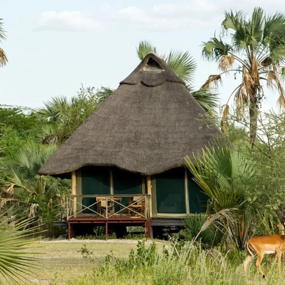 Maramboi Tented Camp 3