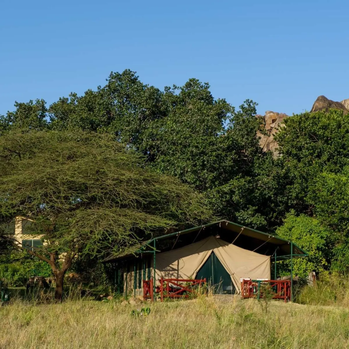 Mbuzi Mawe Serena Camp 1 1
