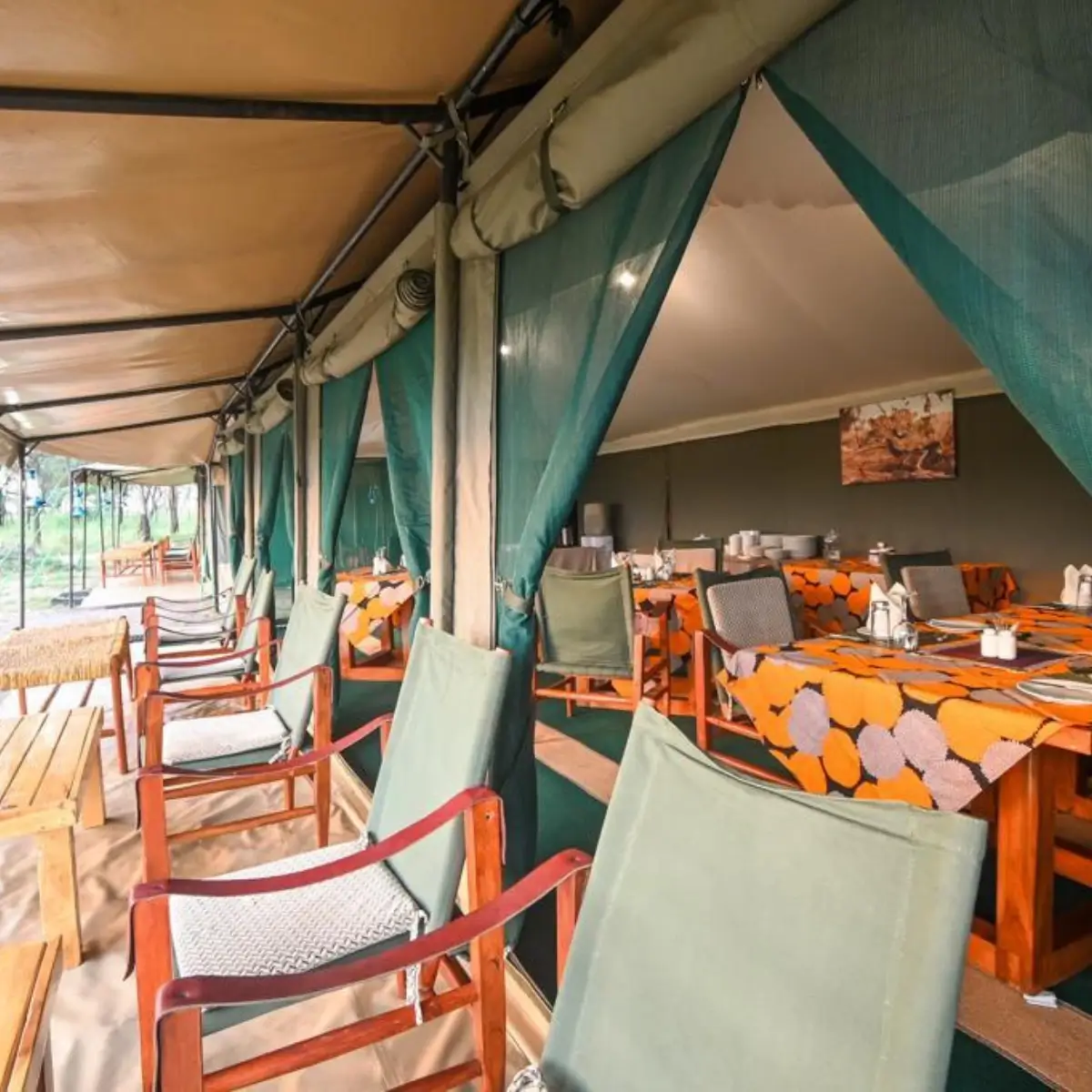 Nasikia Migration Camp 1 1