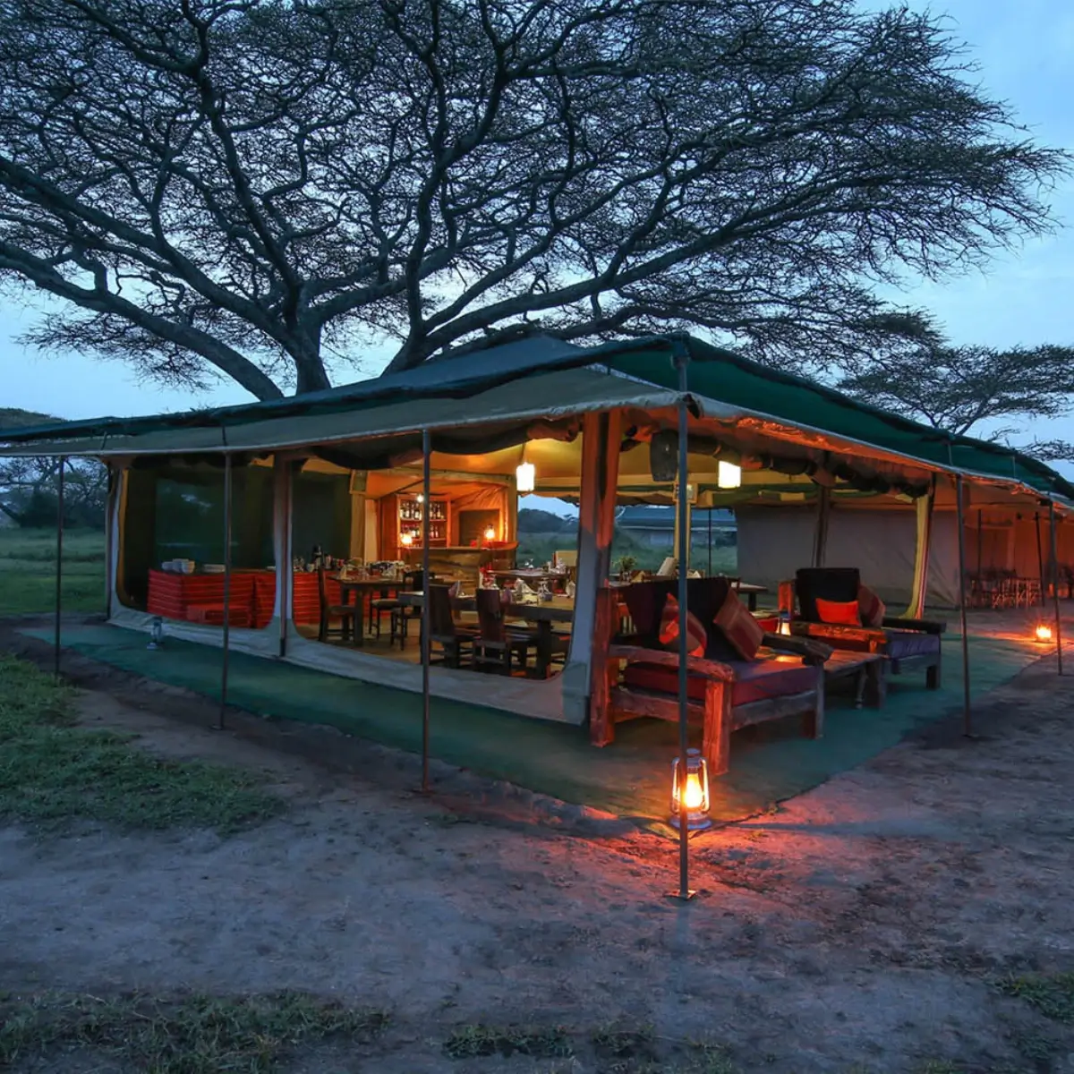 Nasikia Migration Camp 2 1 1