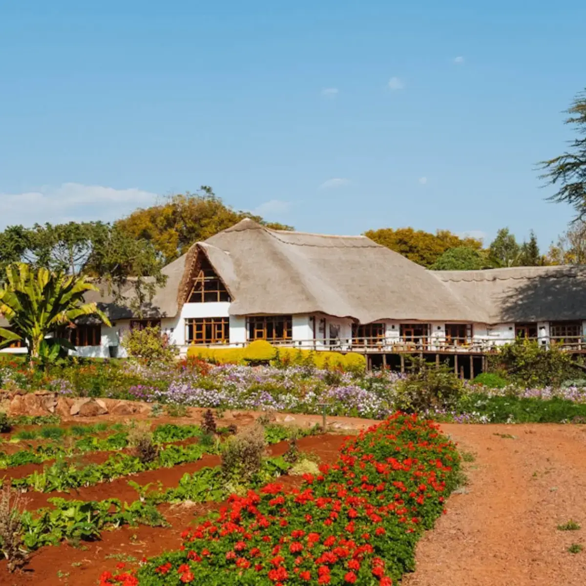 Ngorongoro Farm House 2