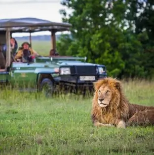 Olare Motorogi Conservancy