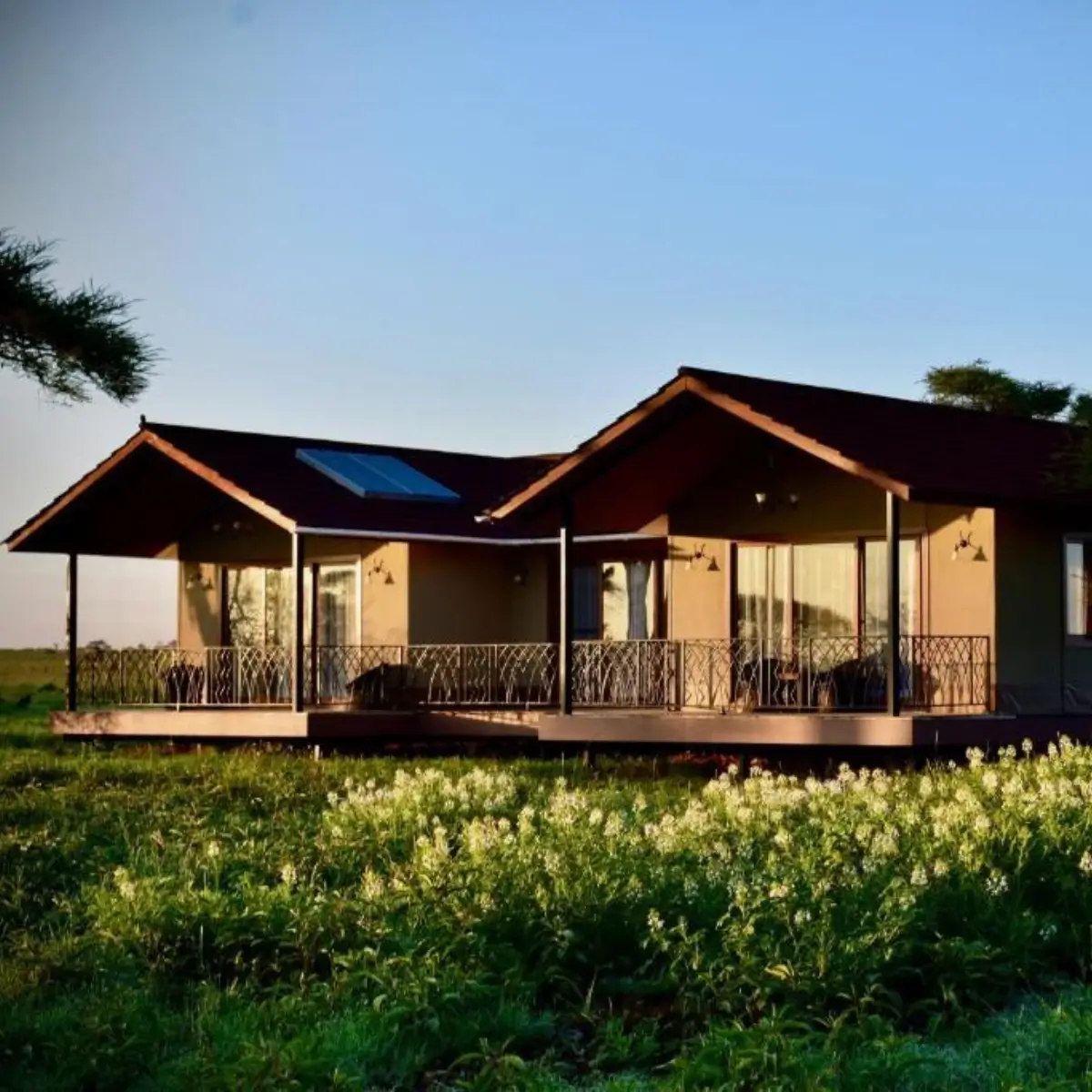 Serengeti Sametu Camp 2 1 1