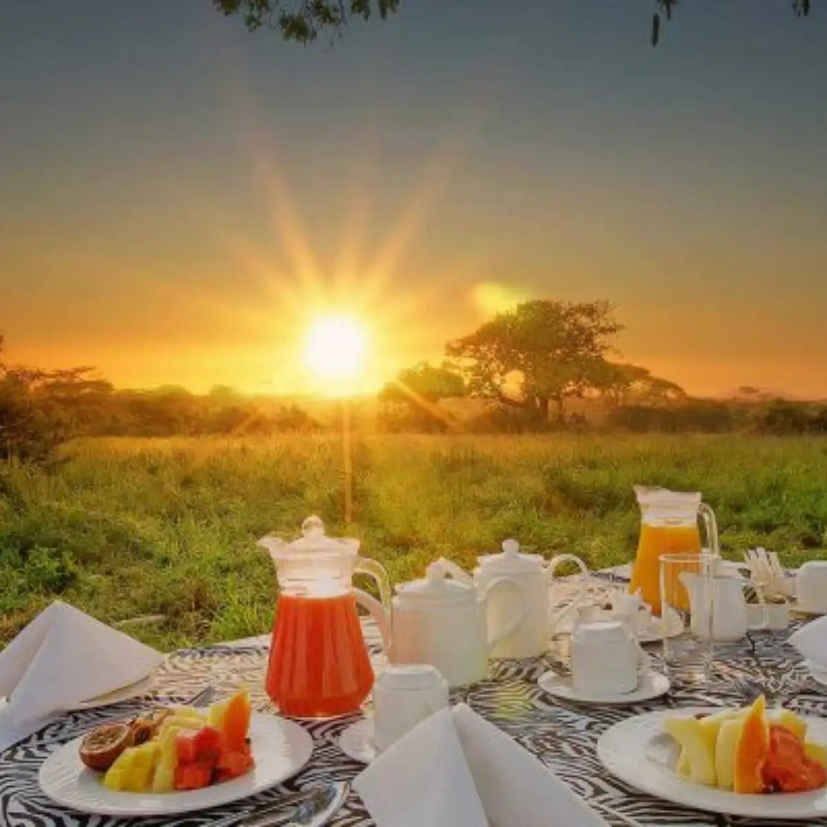 Tarangire Sopa Lodge 1 1 1