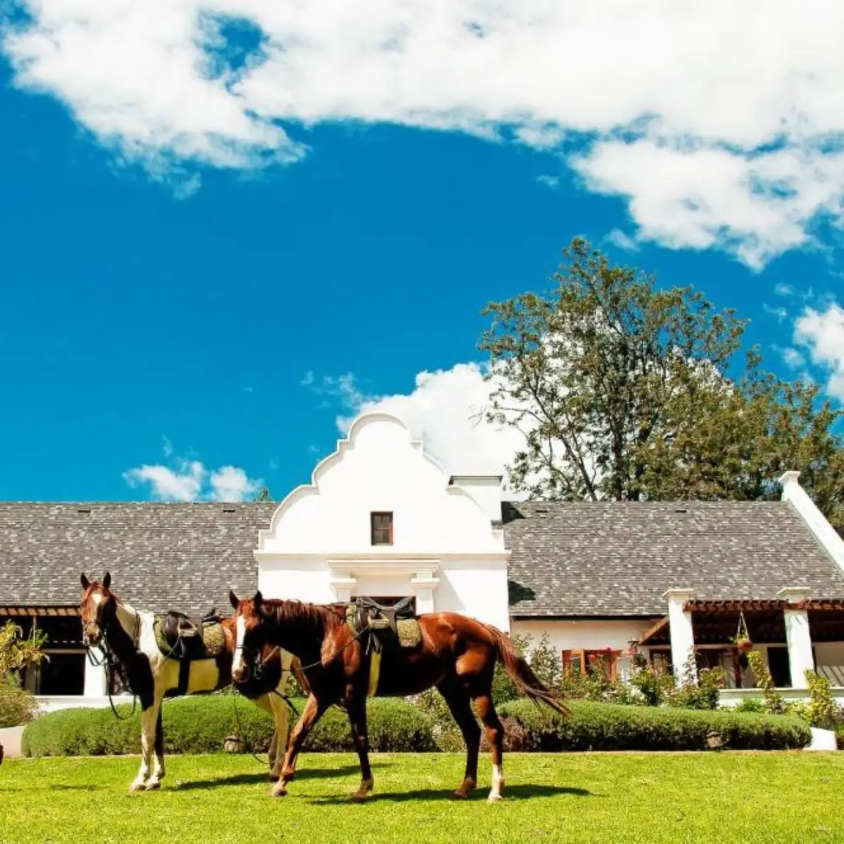The Manor at Ngorongoro 1