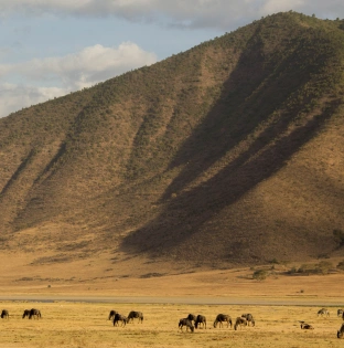 Ngorongoro Crater