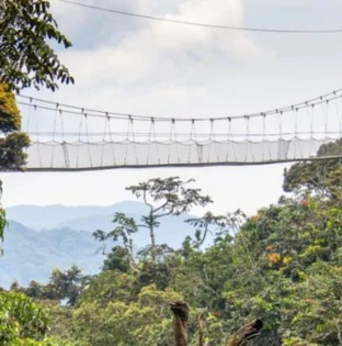 Nyungwe Forest National Park